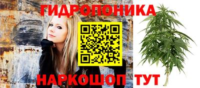 2c-b Ипатово