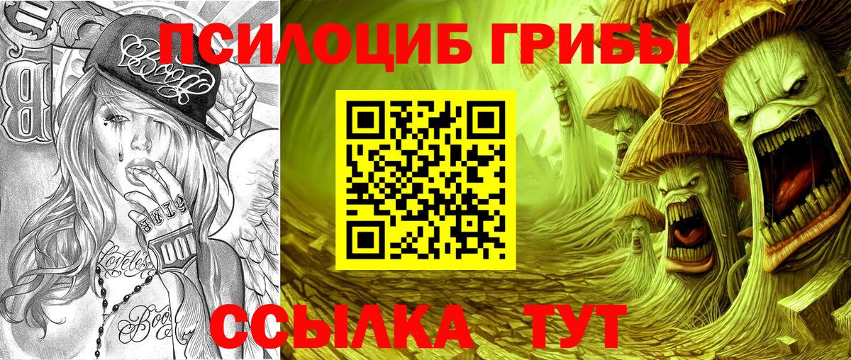 дарнет шоп  Псилоцибиновые грибы прущие грибы  Вход с VPN  Лянтор 