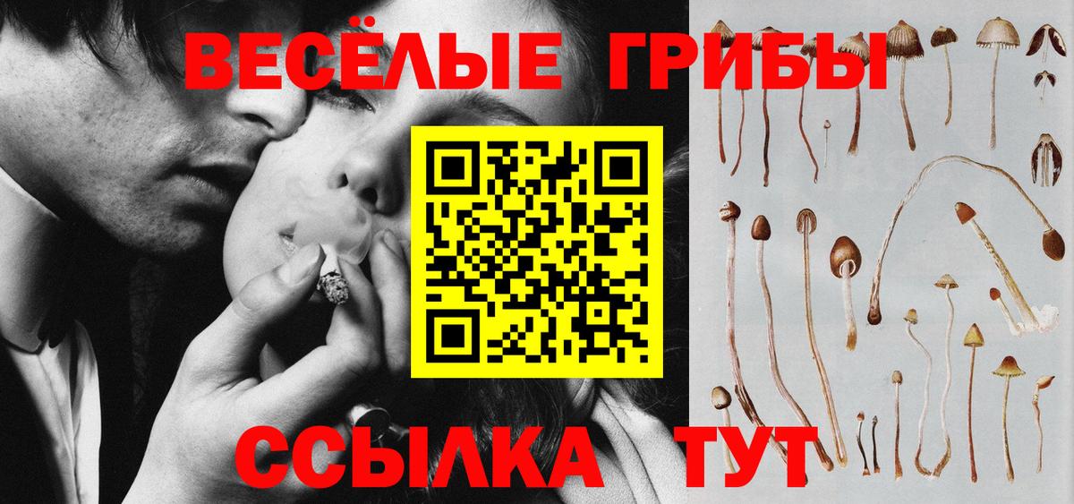 Псилоцибиновые грибы мухоморы Лянтор